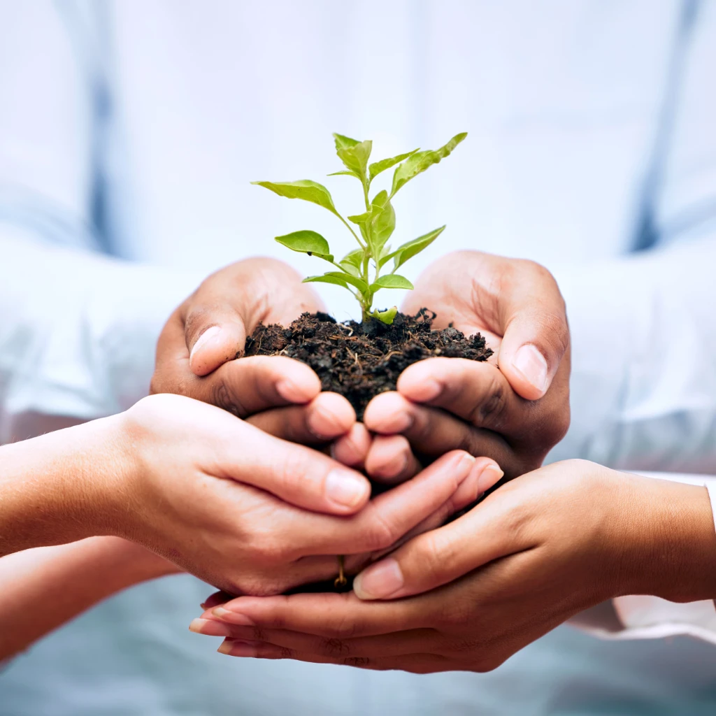 Selecta Eco Joy 1.jpg