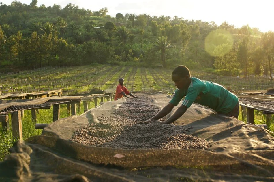 Medium-Selecta Coffee Fund 2020 303-2.jpg